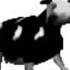 Polish Cow Green Screen