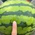 Experiment Will The Watermelon Explode When It Rolls Down In A High Rise Building Shorts