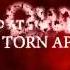 Demon Hunter Dead Flowers Lyric Video