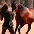Horse And Woman 马和女人 Лошадь и женщина Perd En Vrou الحصان والمرأة ઘ ડ અન સ ત ર 馬と女