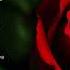 Debut 18 Roses Instrumental Song