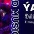 Däli Däde Ýalñyz 3D Edit BAY BOV MIX