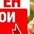 Мне 82 ГОДА ЭТОТ Домашний Коллаген ПОМОГ От БОЛЕЙ В КОЛЕНЯХ за 5 ДНЕЙ
