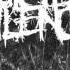 Suicide Silence Downtown Massacre Split 2006 FULL ALBUM
