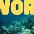Oceans Of The World For Kids Learn All About The 5 Oceans Of The Earth