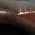 250 Watt CO2 Galvo Laser System With Rotary Checkering Gunstock