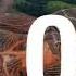 The Problem With Palm Oil Fight For The Forests TakePart