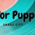 Too Old For Puppy Love Snake City Pop Music