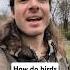 How Do Birds Stay Dry In The Rain