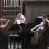 Schumann Piano Trio Op 61 D Moll