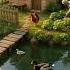 Grandma Grandpa S Peaceful Island Morning Countryside Life Shorts Peacefulmoments