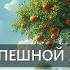 Для успешной жизни Живите жизнью абсолютного позитива Римлянам 8 28