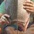 Amazing Giant Katla Peti Fish Cutting Skills Shorts Fishcutting