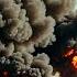 Ukrainian Forces Destroyed About 90 000 Russian Targets With The Help Of Drones In A Month