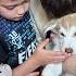 The Most Emotional Goodbye To Nellie The Husky Puppy Kieghley Broke Down