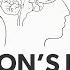 What Is Parkinson S Disease