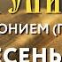Толкование Евангелия с митрополитом Антонием Паканичем Воскресенье 9 июня 2024 года