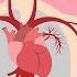 CARDIOVASCULAR SYSTEM SONG Circulatory System Song Science Music Video