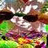 A I N U Zen Nature NEW Subscribe Ainu Net Zen Healingmusic Hiresaudio Yoga Yogamusic