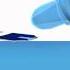 Running A Control Test ACCU CHEK Aviva Plus Video