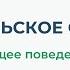 Родительское собрание Саморазрушающее поведение подростка Часть 7