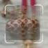 Assamese Jewellery Set Treditionaljewellery Silver Gold Maduli Set