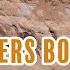 Four Corners Botany Tiny Cactus Big Buckwheats