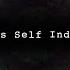 Mastermind Instrumental Mindless Self Indulgence Dark Matter Split