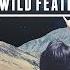 The Wild Feathers Leave Your Light On Official Audio