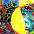 Alphadog Aladin Original Mix Kinetika Music HQ