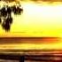 Dim Chord Ft Yalena Get Better Radio Edit