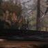Superposition The Genre Of Life Is Strange