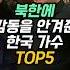 북한에 감동을 안겨준 한국 가수 TOP5