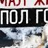 МЕФЕДРОН ДЛЯ ПОХУДЕНИЯ
