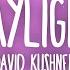 David Kushner Daylight