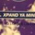 Wag Ya Tail Xpand Ya Mind Old School Mix