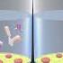 Indirect ELISA Test Animated Video