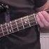 Spider Murphy Gang Schickeria Bass Cover