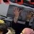 What Is Black Friday BBC News