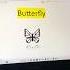 Butterfly The Beauty Symbolism And Metamorphosis Of A Magical Creature