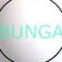 Altimet Bunga FanVideo Visualizer