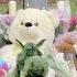 Latest Search For Lilly Jack Sullivan Is Over