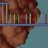 DNA Sequencing 3D