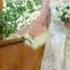 Vitaly Rufina Toshkent Wedding