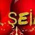 Sevgi şeirləri Seçmə şeirlər Yığma şeirlər