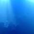 Aly Fila Play ID FSOE Club Night Panama Amsterdam