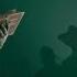 Песня по OUTLAST 2 Проповедник BBLOG песнипоиграм