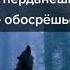 Безумно можно быть первым Безумно можно быть первым басс Цитаты волков Волк Подборка цитат волка