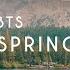 방탄소년단 BTS 봄날 Spring Day 피아노 스트링 오케스트라 커버