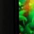 Bubble Frenzy For Android Shoot The Bubbles Clear The Board